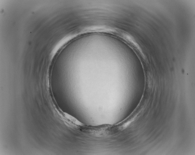 X0000066521328200603241327