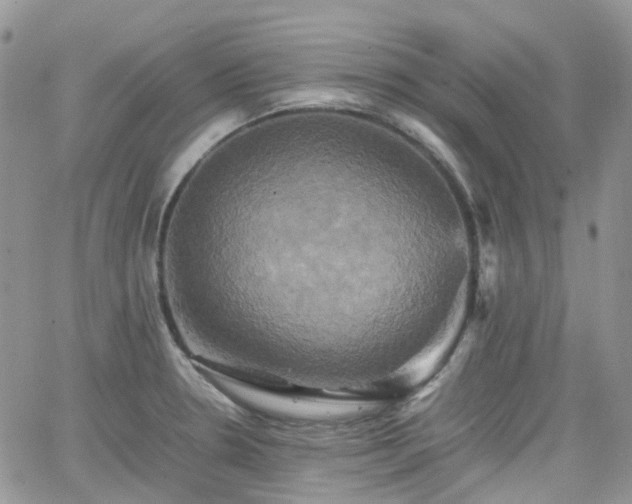 X0000066521330200603241327