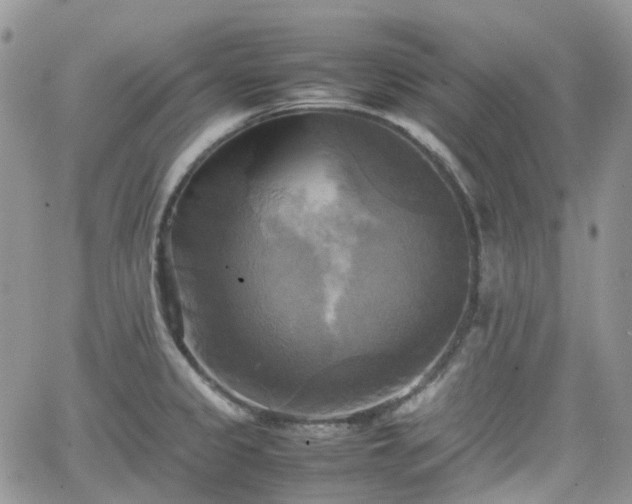 X0000066521333200603241327