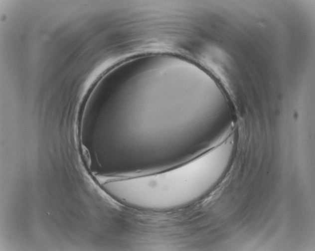 X0000066521334200603241327