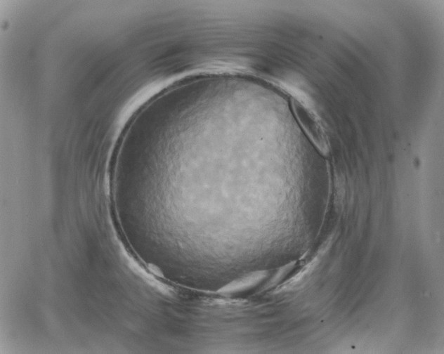 X0000066521335200603241327