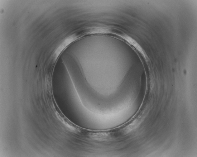 X0000066521337200603241327