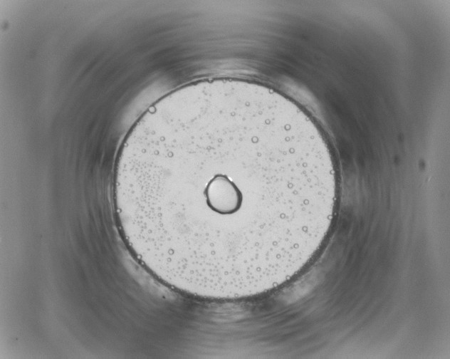 X0000066521338200603241327