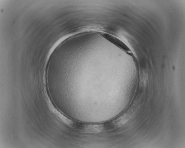 X0000066521339200603241327