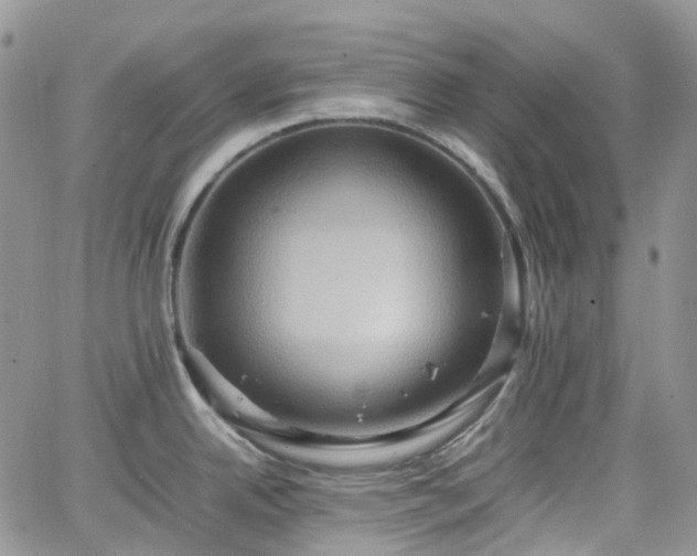 X0000066521342200603241327