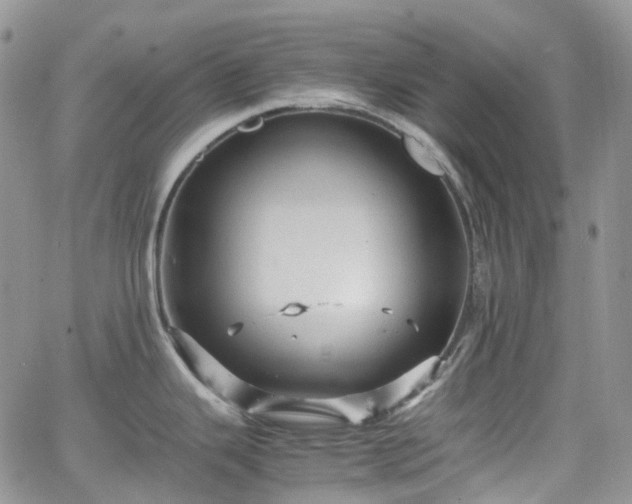 X0000066521343200603241327