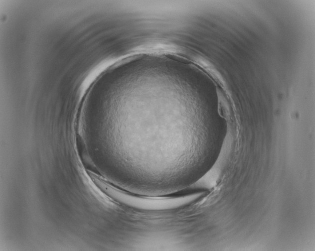 X0000066521344200603241327