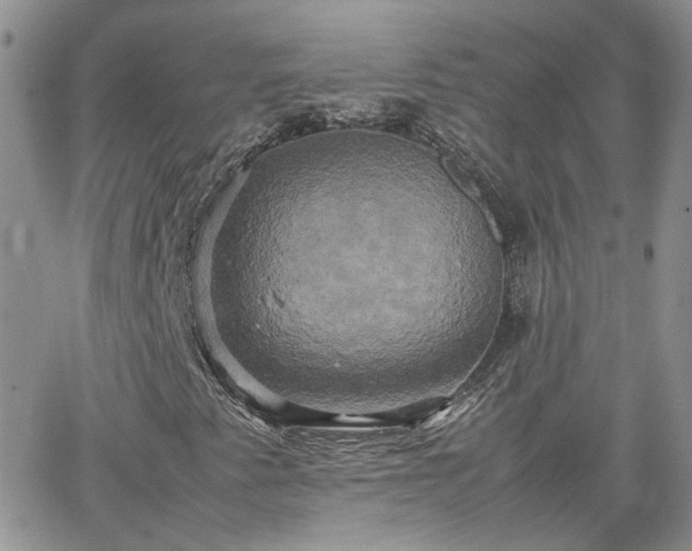 X0000066521345200603241326