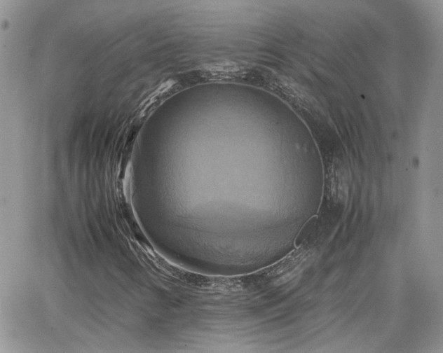 X0000066521346200603241326