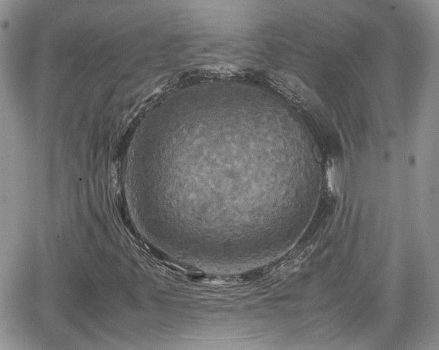 X0000066521347200603241326