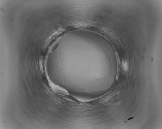 X0000066521348200603241326