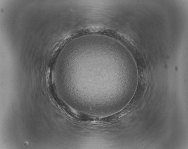 X0000066521349200603241326