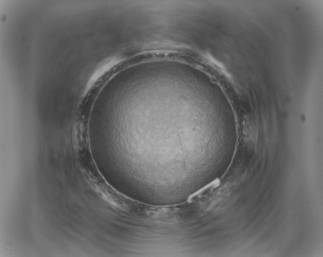 X0000066521352200603241326