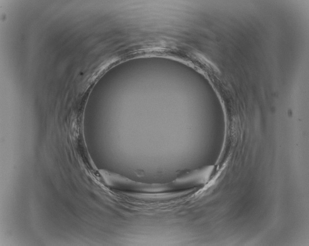 X0000066521353200603241326