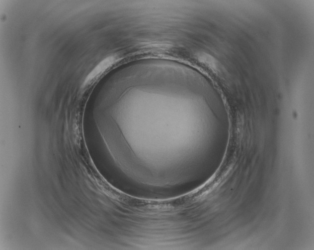 X0000066521354200603241326