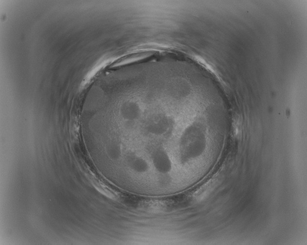 X0000066521355200603241326