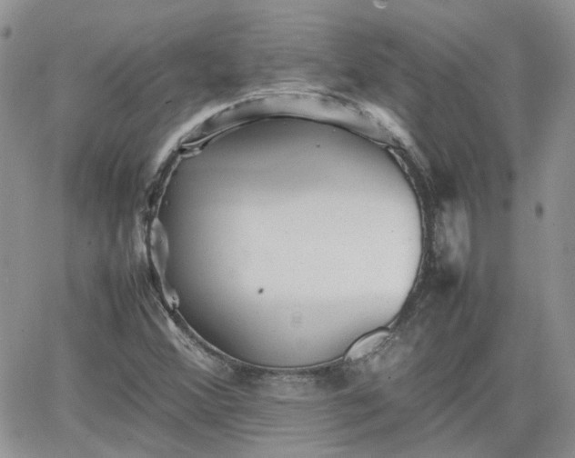 X0000066521356200603241326