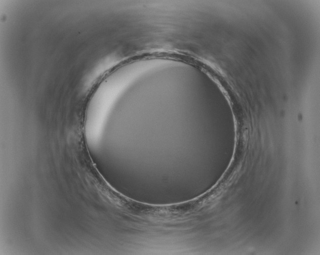 X0000066521359200603241326