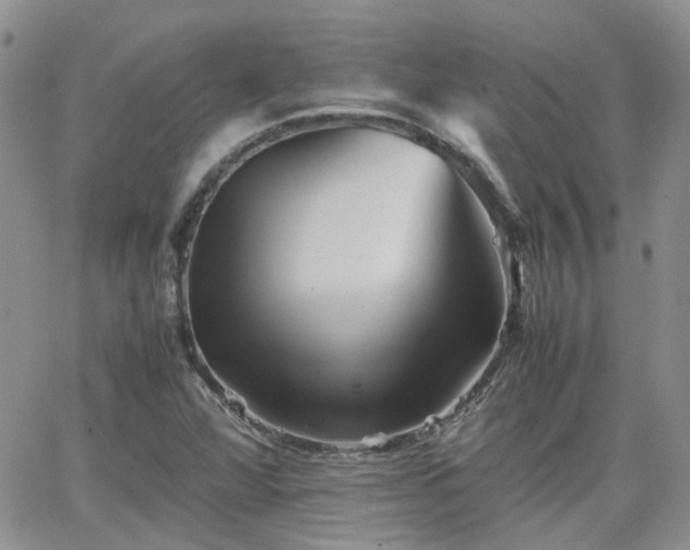 X0000066521360200603241326