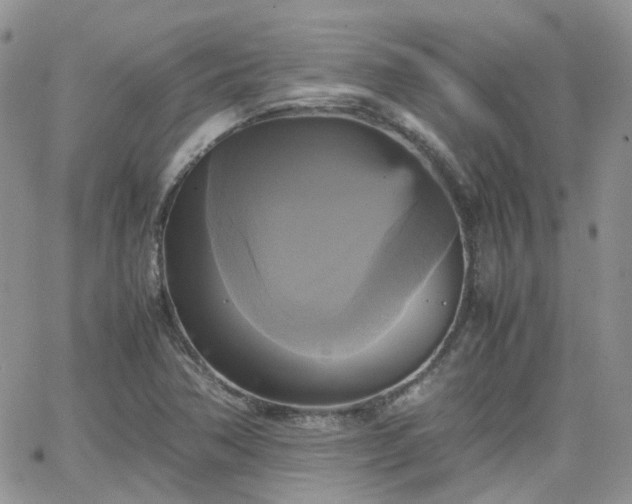 X0000066521362200603241326