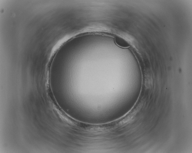 X0000066521366200603241326