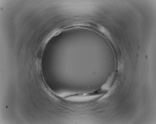 X0000066521369200603241326