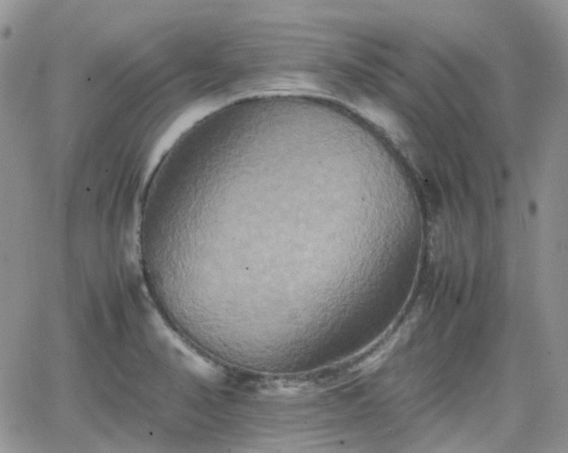 X0000066521374200603241326