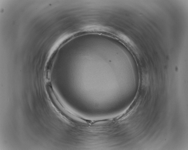 X0000066521376200603241326