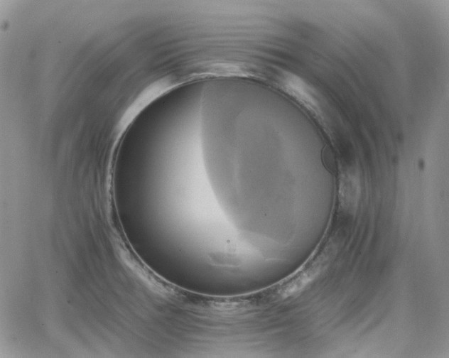 X0000066521378200603241326