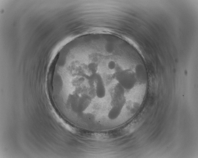 X0000066521379200603241326