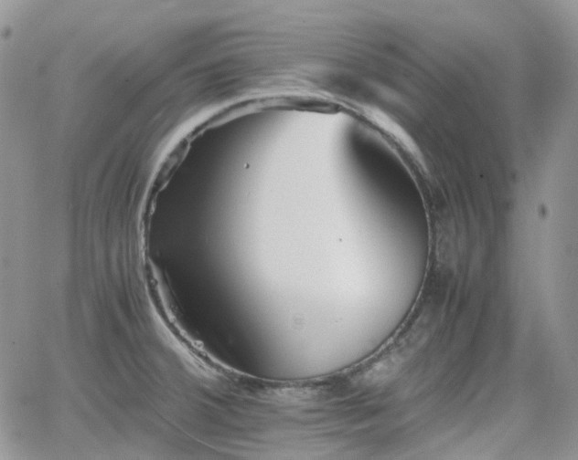 X0000066521380200603241326