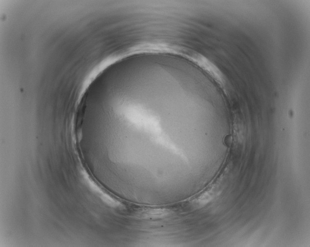 X0000066521382200603241326