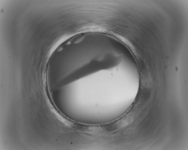 X0000066521383200603241326