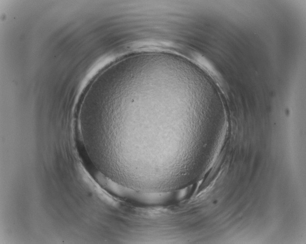 X0000066521384200603241326