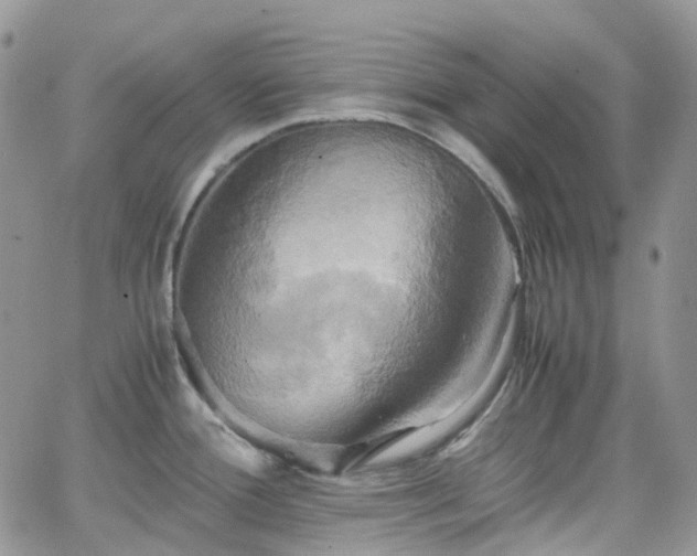 X0000066521388200603241325