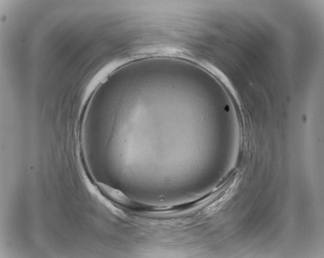 X0000066521389200603241325