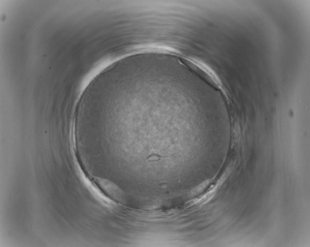 X0000066521391200603241325