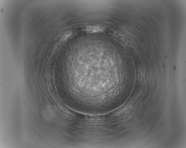 X0000066521393200603241325