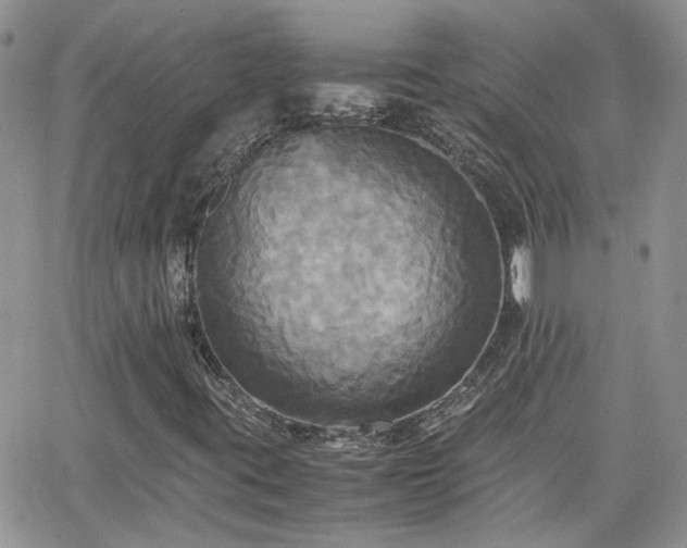 X0000066521395200603241325