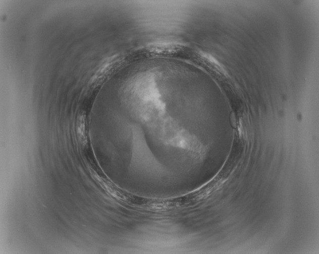 X0000066521396200603241325