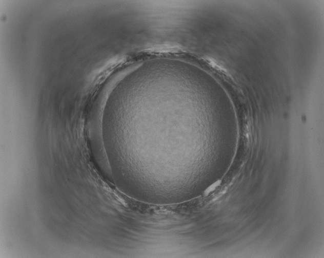 X0000066521398200603241325