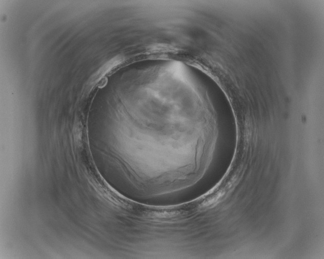 X0000066521401200603241325