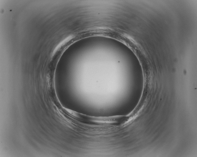 X0000066521402200603241325