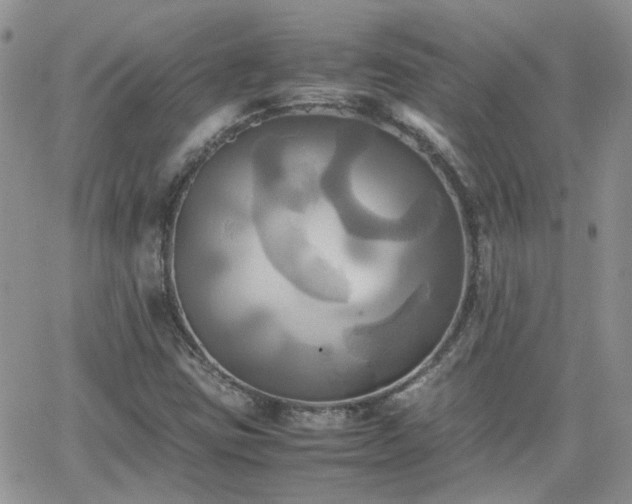 X0000066521403200603241325