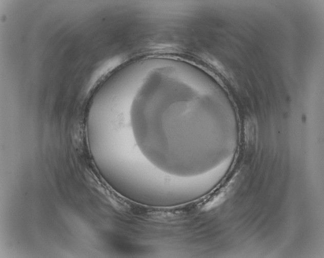 X0000066521405200603241325