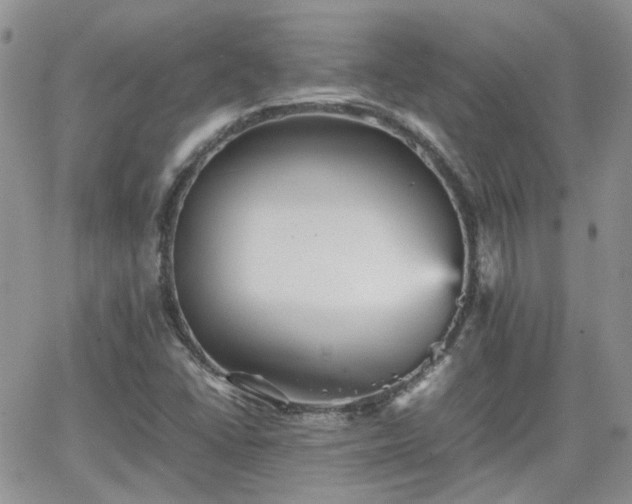 X0000066521406200603241325