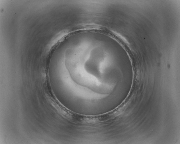 X0000066521407200603241325