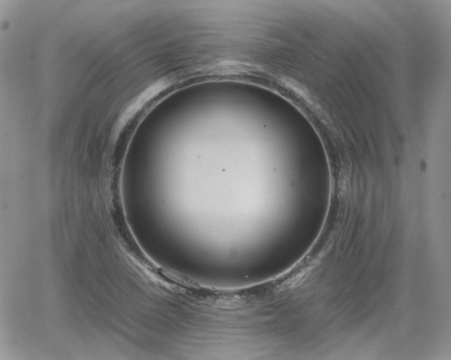 X0000066521410200603241325