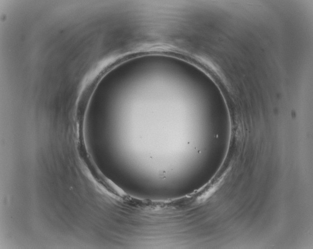 X0000066521414200603241325