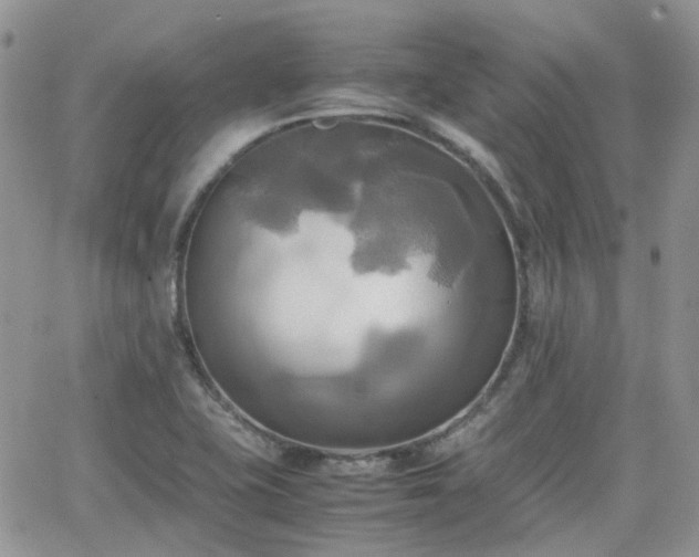 X0000066521415200603241325